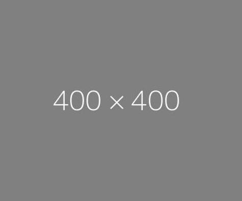 400X400